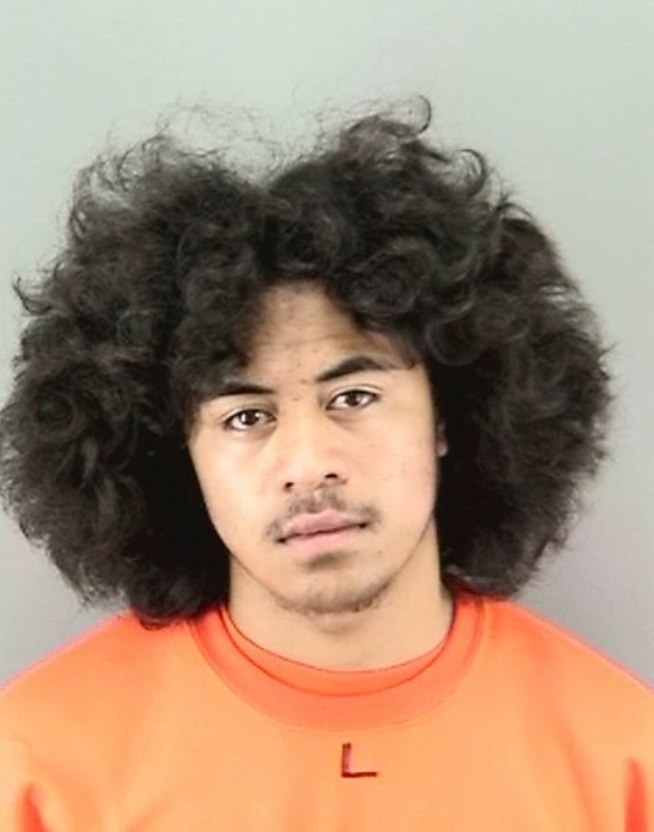 Faavesi Koka Booking Photo 